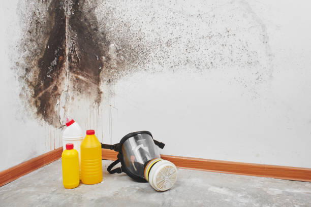 Step-by-Step Water Damage Restoration Procedure